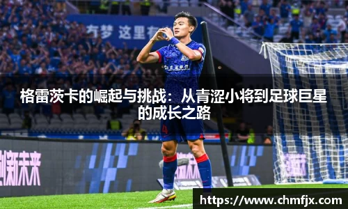 米兰体育