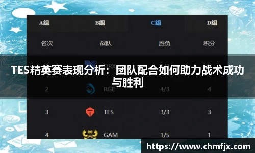 TES精英赛表现分析：团队配合如何助力战术成功与胜利