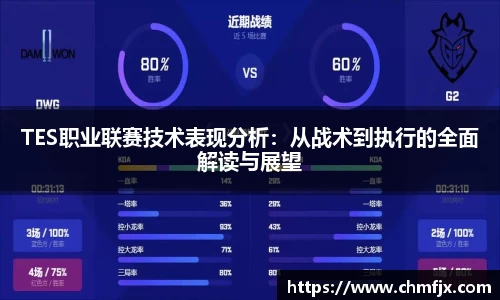 TES职业联赛技术表现分析：从战术到执行的全面解读与展望